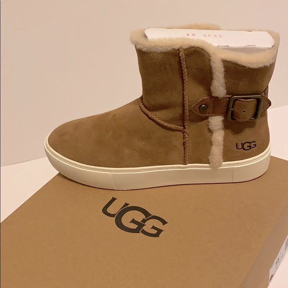 UGG Shoes - Ugg boots